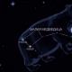 Ursa Minor - takımyıldızın tanımı ve fotoğrafı Ursa Minor takımyıldızı hangi yıldızlardan oluşur?
