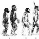Abstract: The oldest stage of human history