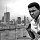 Muhammed Ali: biyografi ve ölüm ilanı Muhammed Ali ona ne oldu