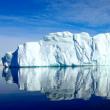 Antarktika'yı bildir Antarktika nesiyle ünlüdür?